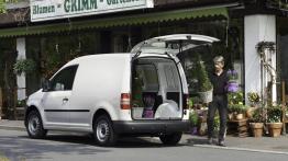 Volkswagen Caddy Kastenwagen - tył - bagażnik otwarty