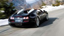 Bugatti Veyron Grand Sport Vitesse - bezlitosny Mohikanin