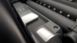 Bugatti Veyron Grand Sport Vitesse - bezlitosny Mohikanin