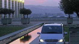 Mercedes Viano - widok z przodu