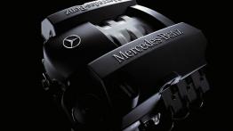 Mercedes Viano - silnik solo