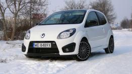 Renault Twingo II - galeria społeczności - widok z przodu