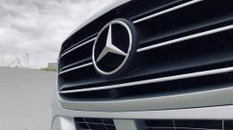 Mercedes Sprinter 316 CDI - galeria redakcyjna