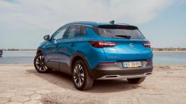 Opel Grandland X 1.6 Diesel 120 KM - galeria redakcyjna - widok z tyłu