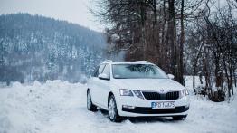 Skoda Octavia Drive 1.0 TSI 115 KM - galeria redakcyjna - widok z przodu