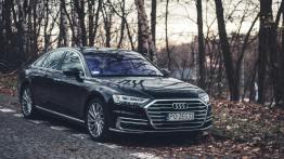 Audi A8 - galeria redakcyjna - widok z przodu