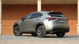 Lexus NX 200t 238KM - galeria redakcyjna - lewy bok