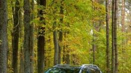 Citroen C-Crosser - galeria redakcyjna - widok z przodu