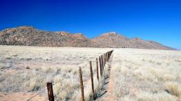 Skoda Yeti w Namibii - dzień 3 - galeria redakcyjna - inne zdjęcie