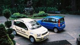 Fiat Panda - galeria redakcyjna - przód - inne ujęcie