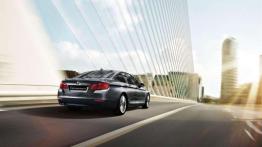 BMW Serii 5 Grace Line - ciekawa wersja specjalna
