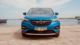 Opel Grandland X 1.6 Diesel 120 KM - galeria redakcyjna - widok z przodu