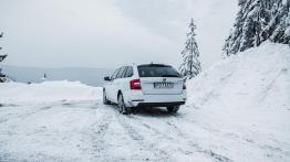 Skoda Octavia Drive 1.0 TSI 115 KM - galeria redakcyjna - widok z tyłu
