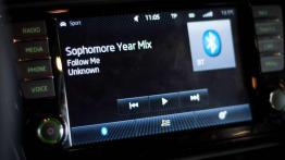 Skoda Octavia RS 2.0 TSI - dyskrecja gwarantowana