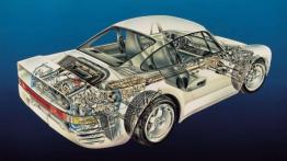 Porsche 959 - z podwójną koroną