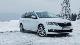 Skoda Octavia Drive 1.0 TSI 115 KM - galeria redakcyjna - inne zdj?cie