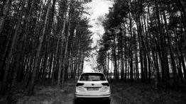 Volkswagen Tiguan (2017) - galeria redakcyjna