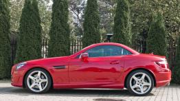Mercedes SLK R172 Roadster 250 CDI BlueEFFICIENCY 204KM - galeria redakcyjna - lewy bok