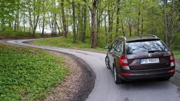 Skoda Octavia III Kombi 1.8 180KM - galeria redakcyjna - widok z tyłu