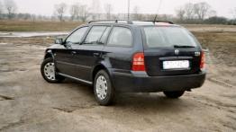 Skoda Octavia Tour 1.9 TDI  02.10.2006 - galeria redakcyjna - widok z tyłu