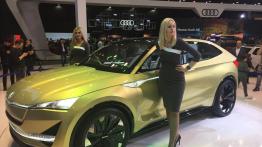 Poznań Motor Show 2018: Skoda - galeria redakcyjna - widok z przodu