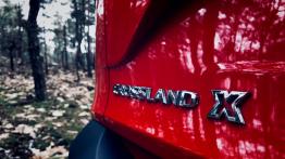 Opel Crossland X 1.2 Ecotec Turbo 110 KM - galeria redakcyjna