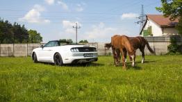 Ford Mustang Convertible 2.3 EcoBoost – galeria redakcyjna