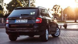 Skoda Fabia Combi 1.2 TSI Style - galeria redakcyjna - widok z tyłu