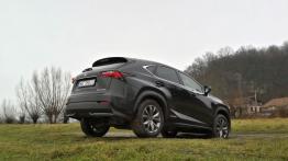Lexus NX 300h 2.5 Hybrid 197 KM - galeria redakcyjna - widok z tyłu