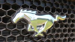 Ford Mustang VI Coupe GT 5.0 V8 421KM - galeria redakcyjna - logo