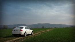 Skoda Octavia III Liftback 1.4 TSI 140KM - galeria redakcyjna - widok z tyłu