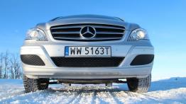 Mercedes Viano Van Facelifting 2.2 CDI 165KM - galeria redakcyjna - widok z przodu
