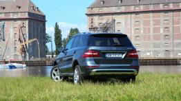 Mercedes Klasa M W166 350 BlueTEC 4MATIC 258KM - galeria redakcyjna - widok z tyłu