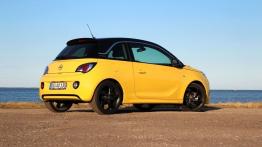 Opel Adam 1.4 100KM - galeria redakcyjna - widok z tyłu