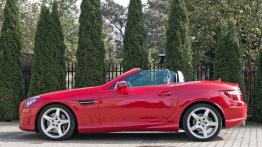 Mercedes SLK R172 Roadster 250 CDI BlueEFFICIENCY 204KM - galeria redakcyjna - lewy bok