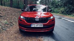 Skoda Kodiaq Sportline 2.0 TSI 180 KM - galeria redakcyjna - widok z przodu