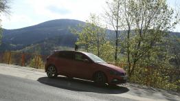 Volkswagen Polo GTI 2.0 TSI 200 KM - galeria redakcyjna
