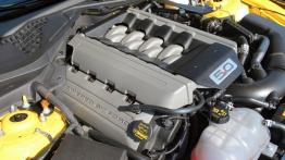 Ford Mustang VI Coupe GT 5.0 V8 421KM - galeria redakcyjna - silnik