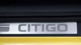 Skoda Citigo Hatchback 5d 1.0 60KM - galeria redakcyjna - listwa progowa