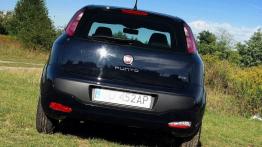 Fiat Punto Punto Evo  KM - galeria redakcyjna - widok z tyłu
