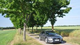 Audi A6 - galeria redakcyjna - widok z przodu