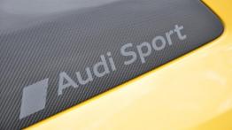 Audi R8 V10 plus – galeria redakcyjna