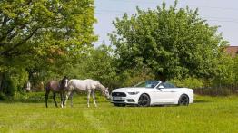 Ford Mustang Convertible 2.3 EcoBoost – galeria redakcyjna