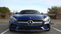 Mercedes-AMG GT 4.0 V8 - galeria redakcyjna - widok z przodu