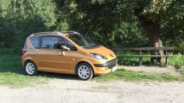 Peugeot 1007 1.4 - prawy bok