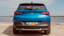 Opel Grandland X 1.6 Diesel 120 KM - galeria redakcyjna - widok z tyłu