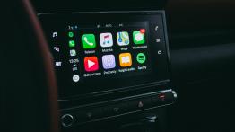 Citroen C3 Aircross - galeria redakcyjna
