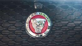 Jaguar F-Pace - galeria redakcyjna