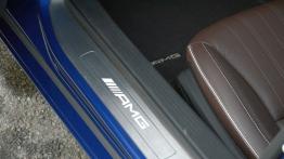 Mercedes-AMG GT 4.0 V8 - galeria redakcyjna - listwa progowa