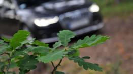 Audi A6 C7 Allroad quattro - galeria redakcyjna - przód - inne ujęcie